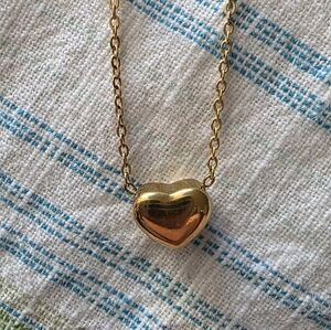 Elegant Heart Pendant Necklace